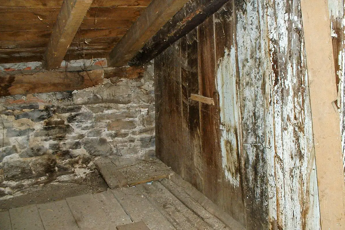 Casa Zapatainea