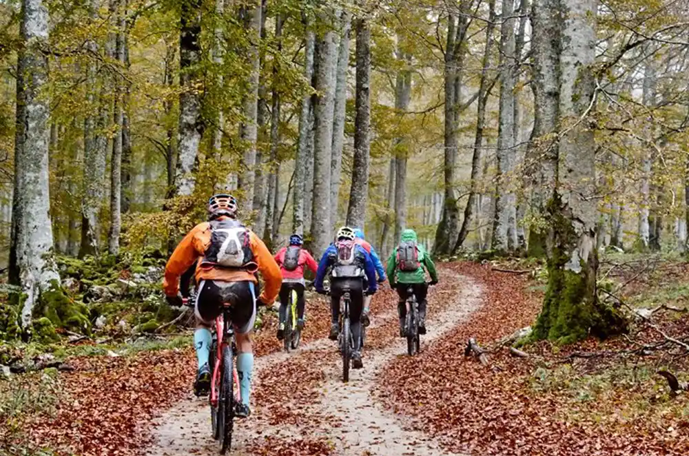 rutas btt Erro