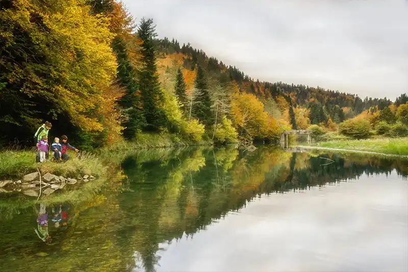 Selva de Irati
