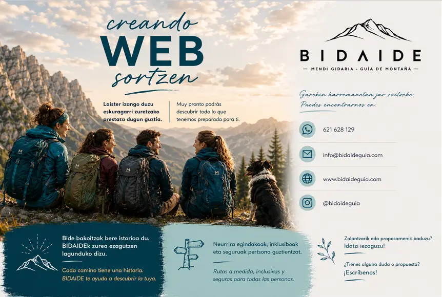 Bidaide