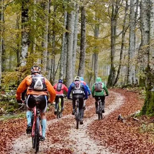 rutas btt Erro Navarra