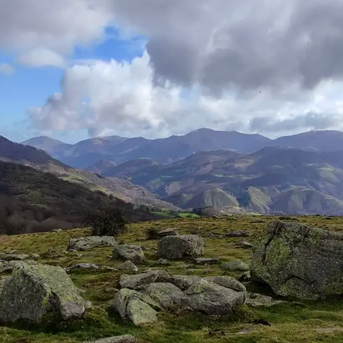 valle_erro_2